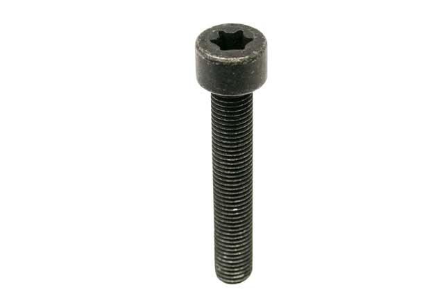 Brake Caliper Bolt