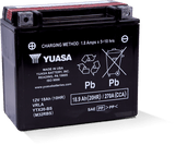 Yuasa YTX20-BS Maintenance Free AGM 12 Volt Battery (Bottle Supplied)