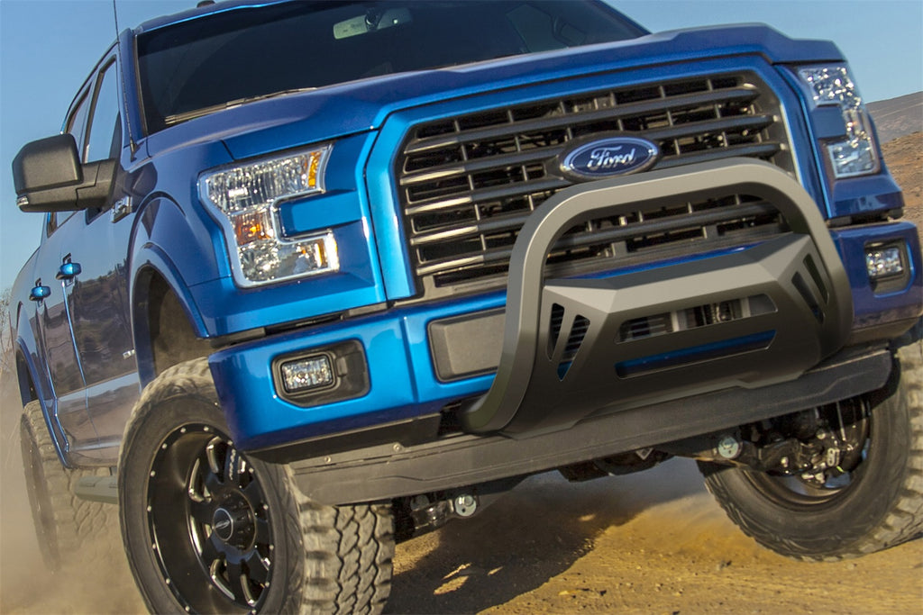 F150_BullBar_2018.jpg