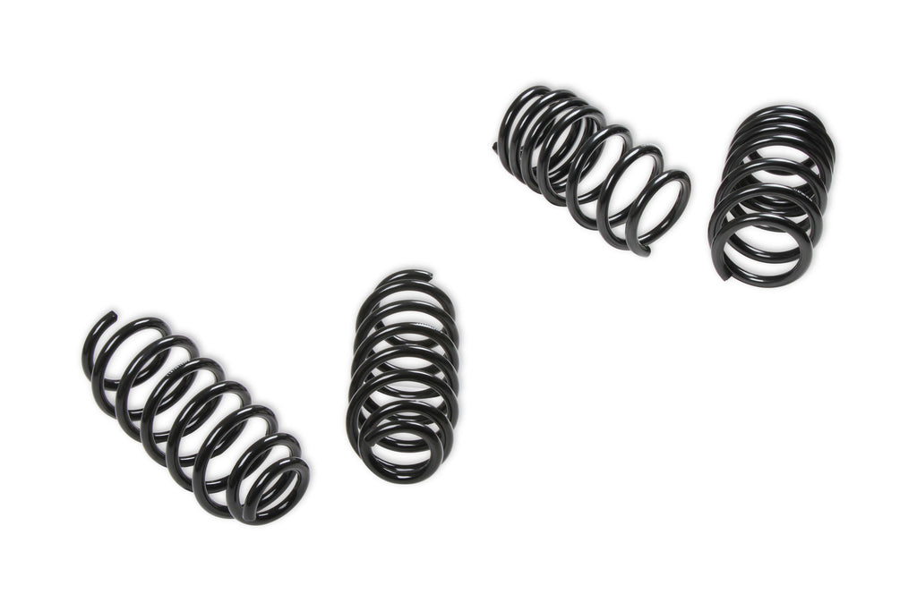 18-20 Tesla Model 3 Drop Springs - REKUDO RK200-10