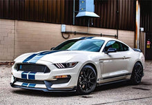 Load image into Gallery viewer, gt350heritage.jpg