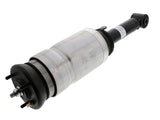 Air Suspension Strut - Arnott Industries AS-2809